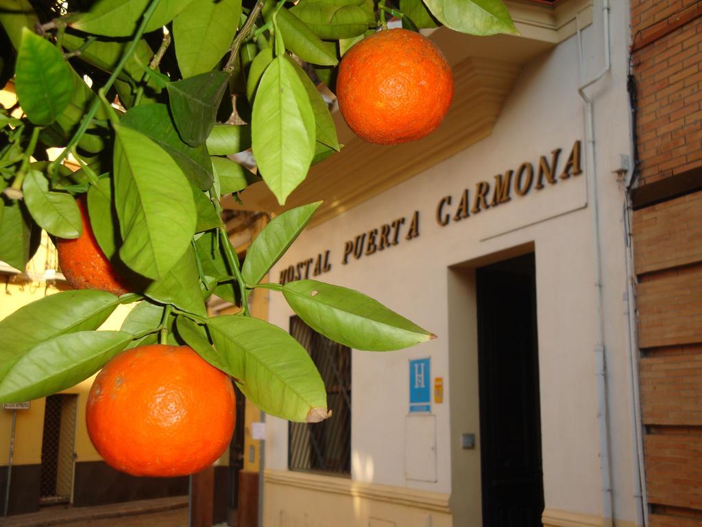 Hostal Puerta Carmona Sevilla Bagian luar foto